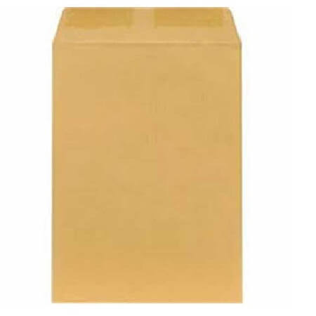 Brown Big Envelope (13X16.5)