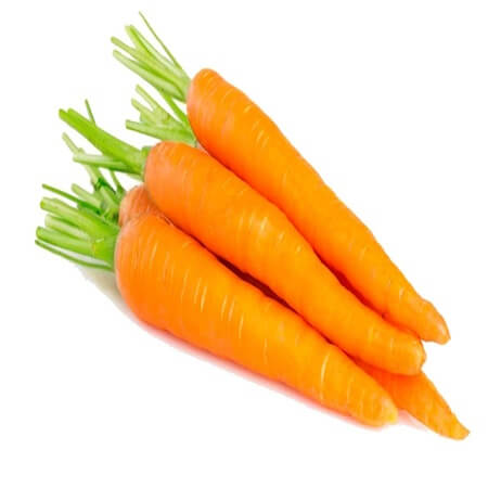 Carrot (Gajor)