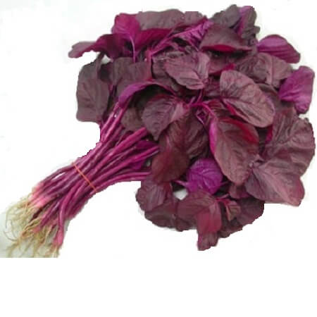 Red Spinach (Lal Shak) 1 Bundle